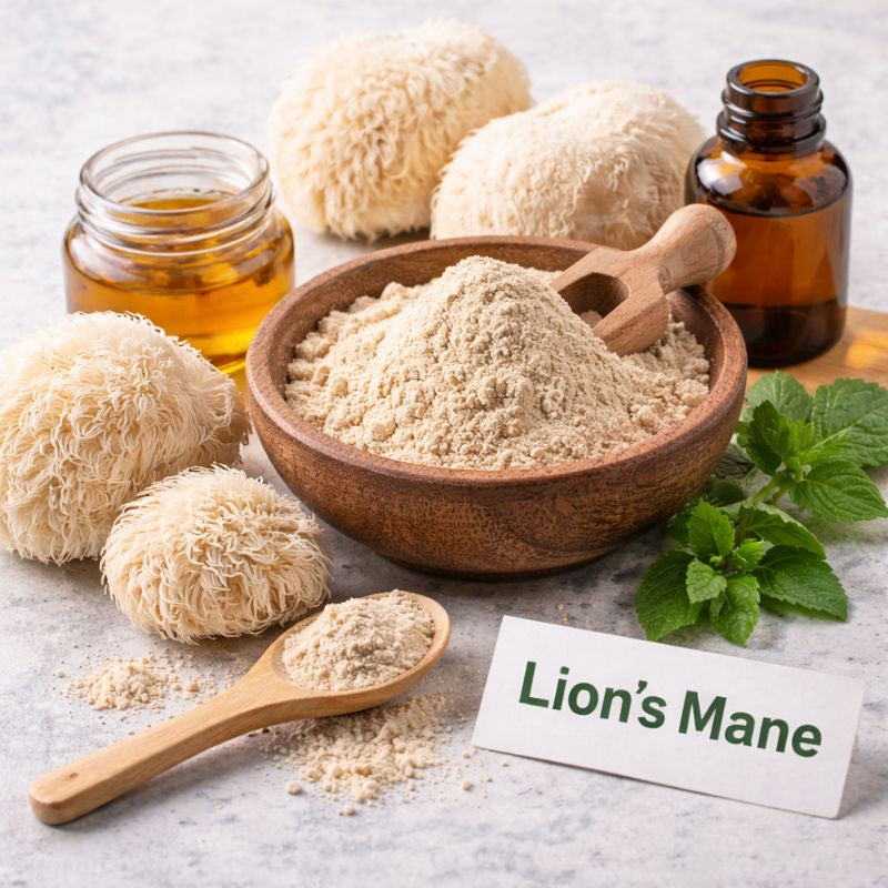 <b> 🧠 Lion’s Mane Mushroom Extract</b>